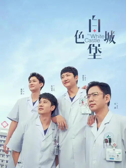 深水区 欧美职业剧集